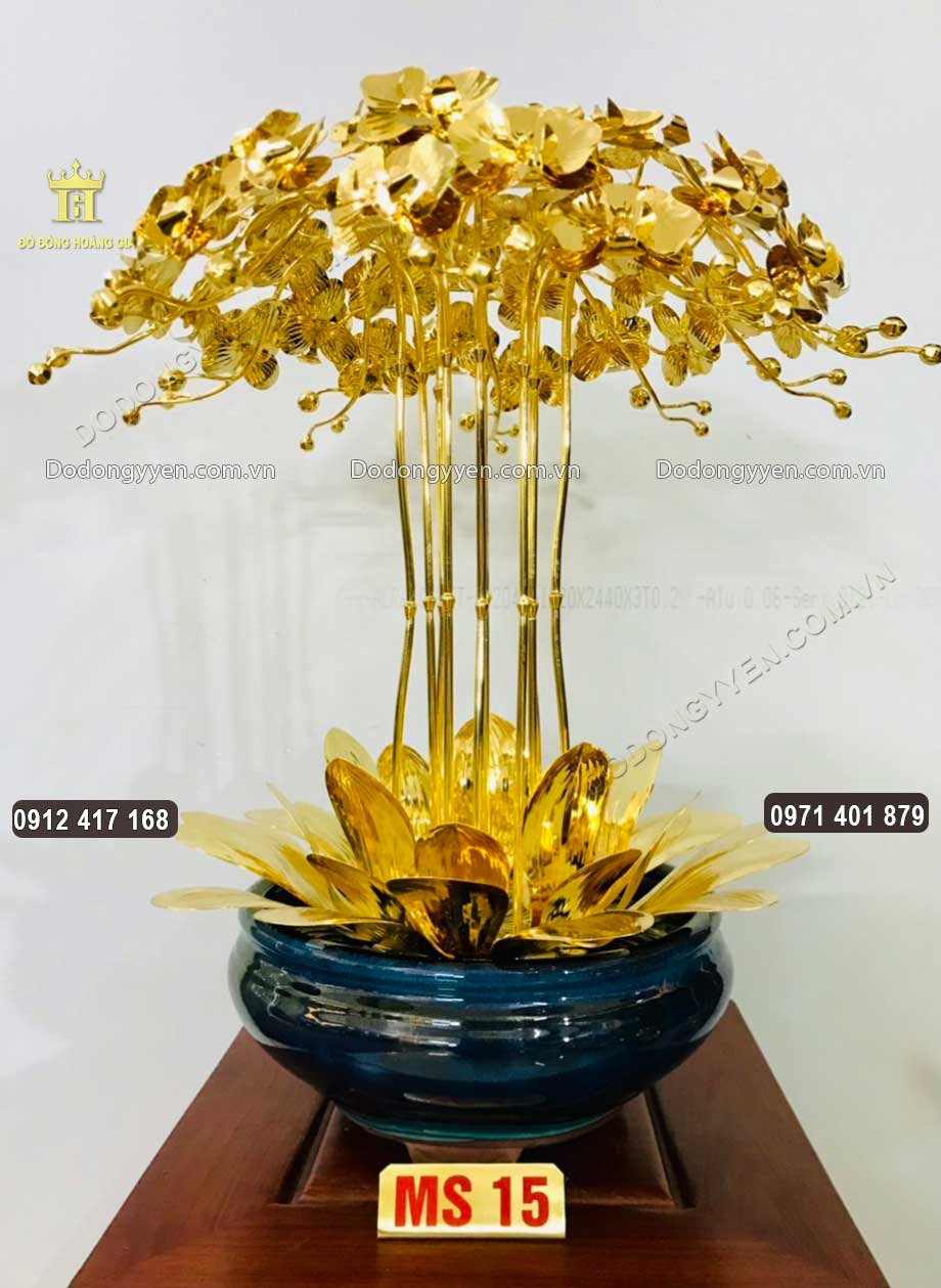 Mẫu chậu hoa Lan 15